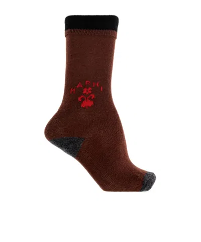 Marni Deep Brown Wool-cashmere Socks With Heraldic Logo