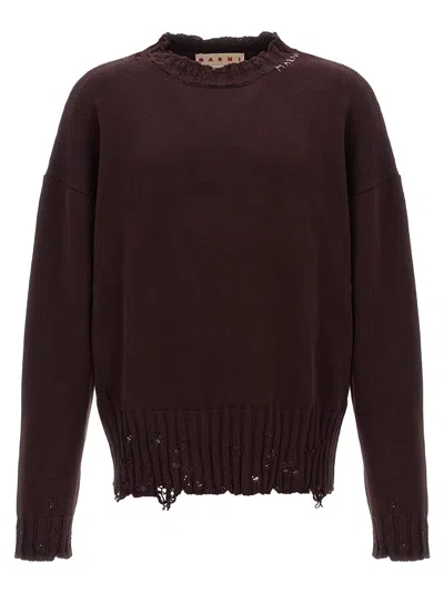Marni Destroyed Effect Sweater In Bordeaux
