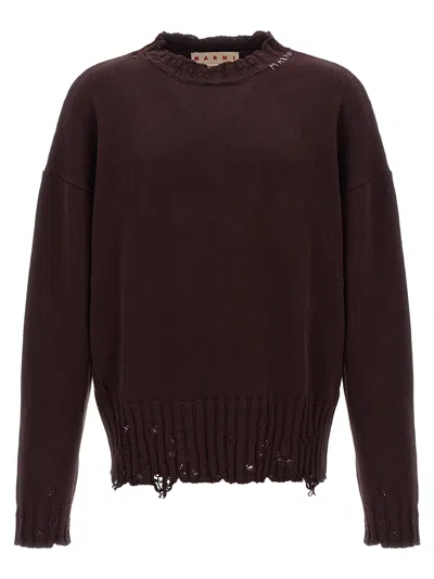 Marni Destroyed Effect Sweater Sweater, Cardigans Bordeaux In Purple