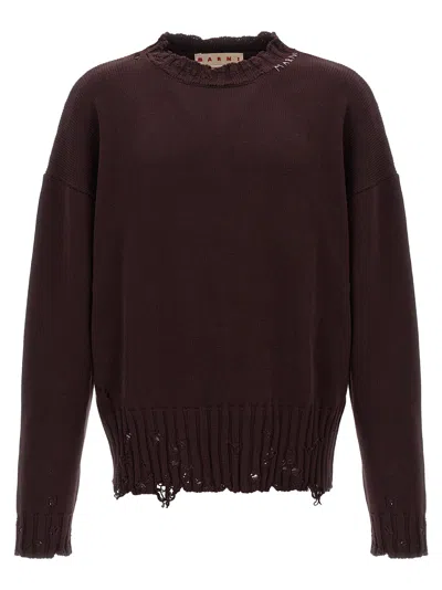 Marni Destroyed Effect Sweater Sweater, Cardigans Bordeaux