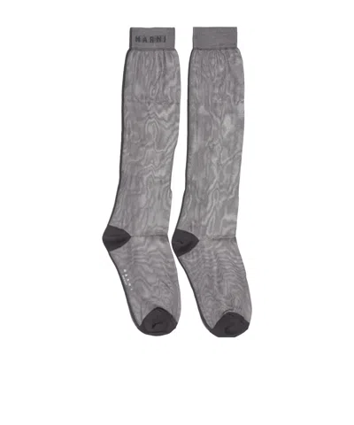 Marni Detailed Knee High Socks In Gray