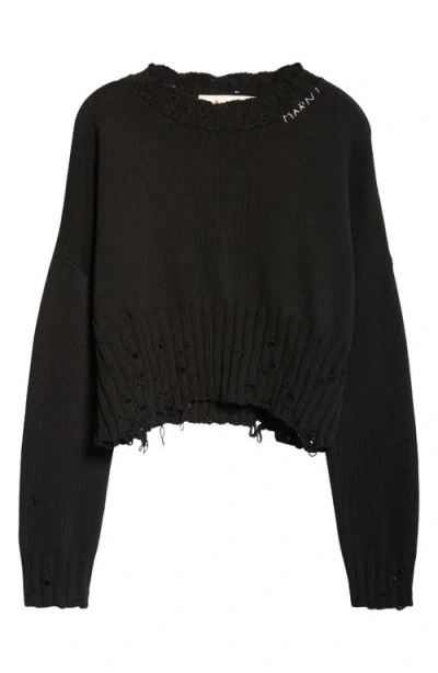 Marni Distressed Cotton Crop Sweater In Black