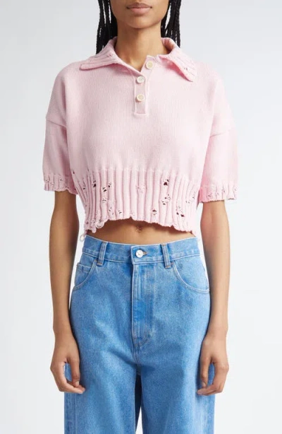 Marni Distressed Cotton Polo Sweater In Pink