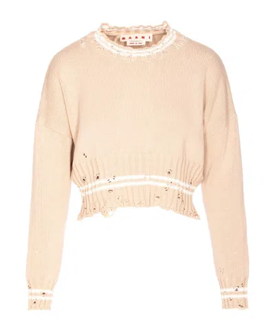 Marni Distressed Crewneck Knitted Jumper