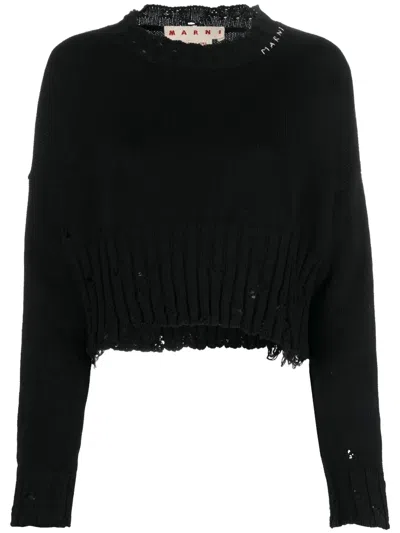 Marni Cropped Textured Knit Sweater In Black