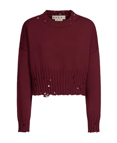 Marni Distressed-finish Cropped Jumper In Brown