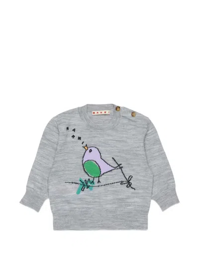 Marni Babies' Embroidered Buttoned-shoulder Jumper In Gray