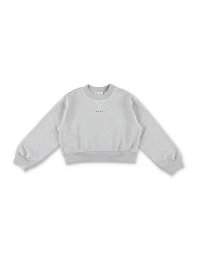 Marni Kids' Fleece Cropped Logo In Grau