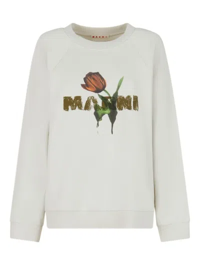 Marni Womens Logo-print Round-neck Cotton-jersey Sweatshirt White In Neutral