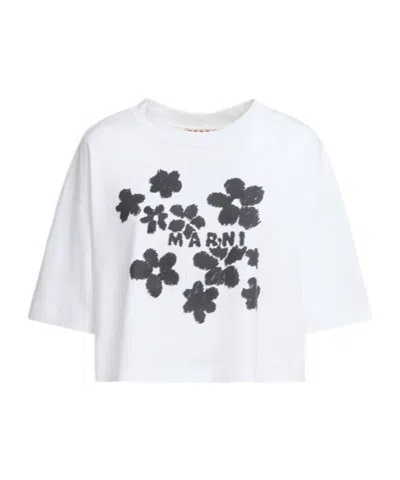 MARNI MARNI DAISY GARDEN PRINT JERSEY T-SHIRT