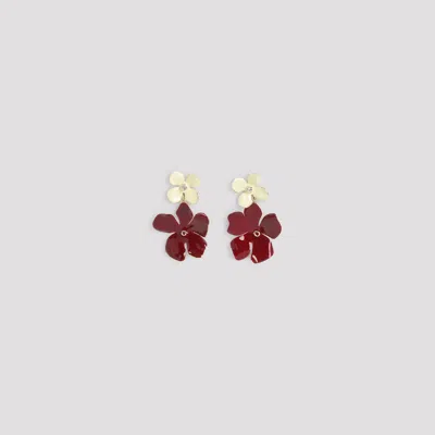 Marni Flower Earrings In Brown