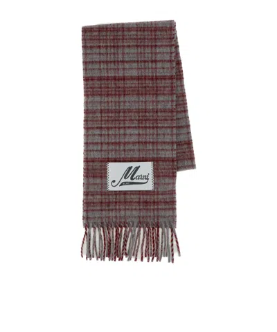 Marni Check-pattern Fringed Scarf In Multi