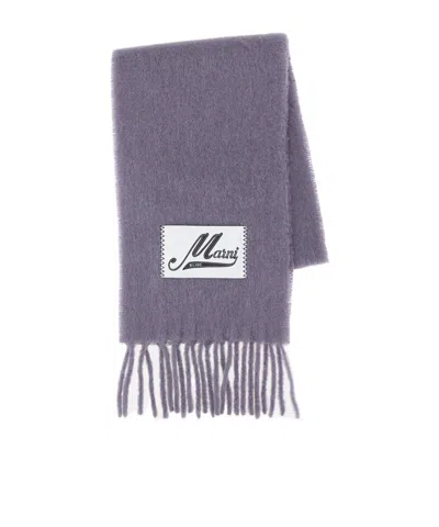 Marni Brushed Fringed Scarf In Purple