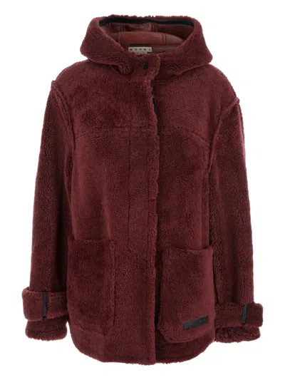 Marni Fur Hooded Jacket In Burgundy