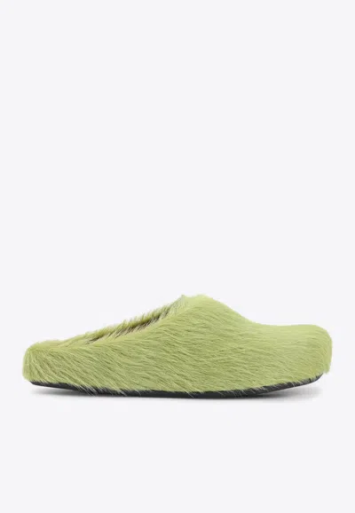 Marni Lime Calf Hair Fussbett Sabot Mules In Green