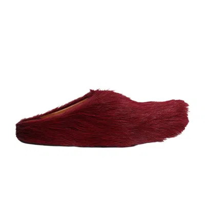 Pre-owned Marni Fussbett Sabot 'camellia' | Purple | Men's Size 41