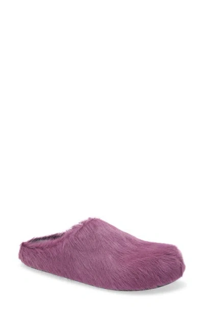 MARNI MARNI FUSSBETT SABOT GENUINE CALF HAIR CLOG
