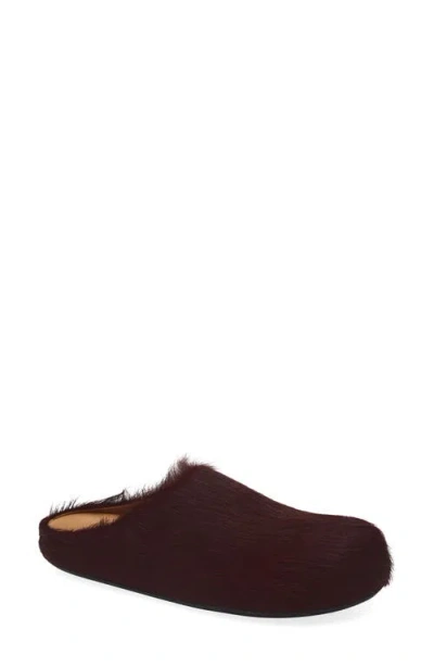 Marni Fussbett Sabot Genuine Calf Hair Clog In Brown