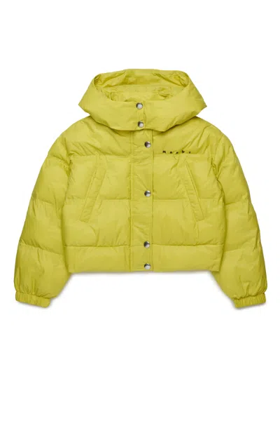 Marni Kids' Giacca Imbottita Cropped Con Cappuccio In Green