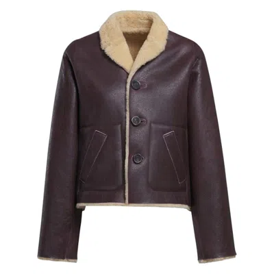 Pre-owned Marni Giacca Reversible Lambskin Shearling Jacket Size It 38 Burgundy Leather In Red