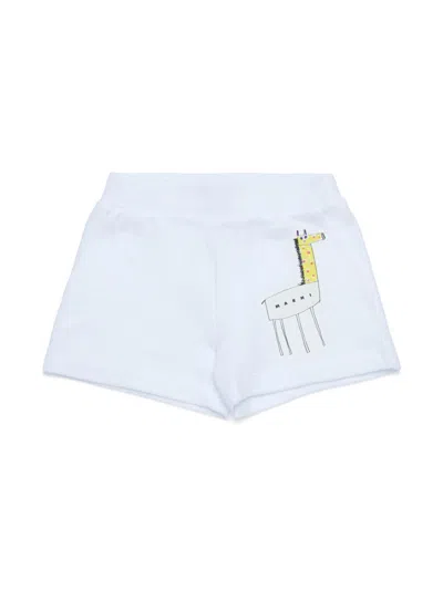 Marni Babies' Giraffe-print Shorts In White