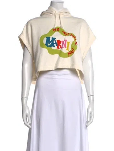Pre-owned Marni Graphic Print Crew Neck Hoodie In Neutrals
