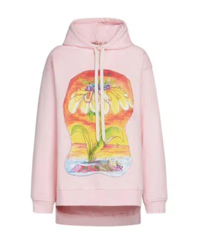 Marni Graphic-print Cotton Hoodie In Pink