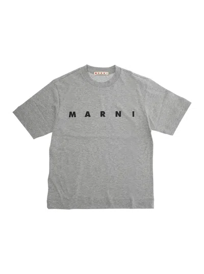 MARNI GREY CREWNECK T-SHIRT WITH LOGO LETTERING ON THE FRONT IN COTTON BOY
