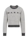 Marni Grey Sweater For Girl With Logo In Gray