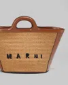 Marni Handbag In Brown