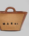 Marni Handbag In Brown