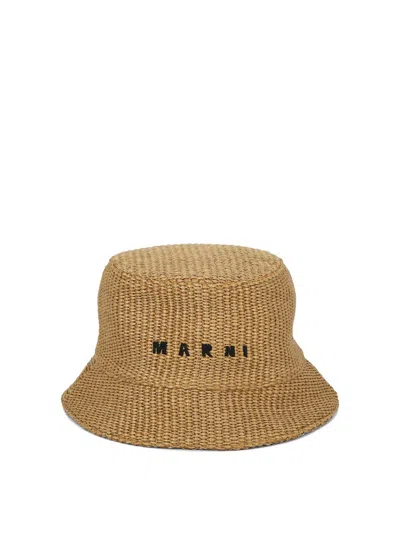 Marni Hats In Brown