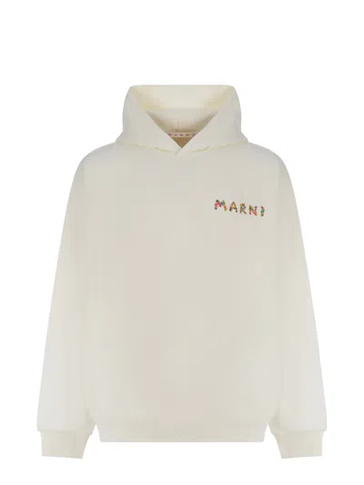 Marni Hooded Sweatshirt  In Neutrals