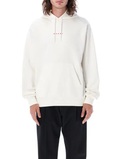 MARNI HOODIE MARNI