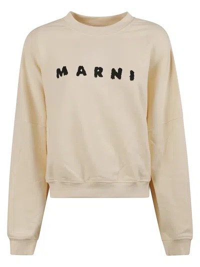 Marni Ivory Sweatshirt With Textured Lettering In Neutral