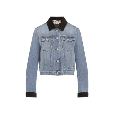 Marni Washed Bull Denim Trucker Cropped Jacket In Blue