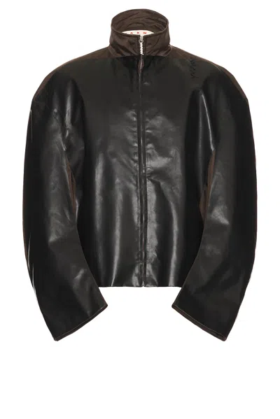 Marni Jacket In Moca & Black