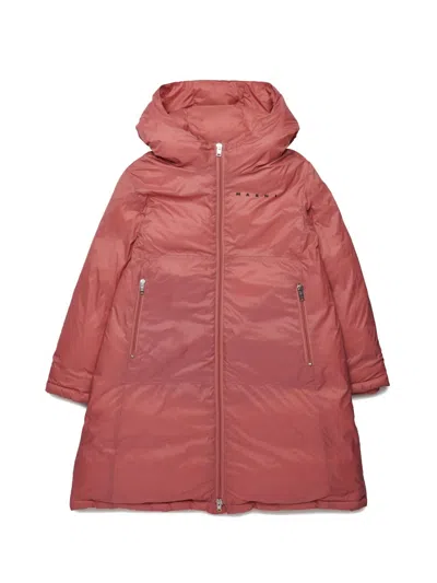 Marni Hooded Padded Jacket In Burgundy