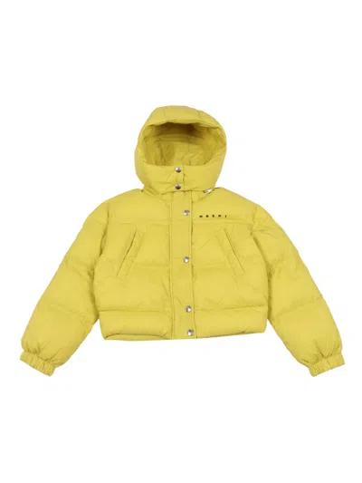 Marni Kids' Jackets In Yellow