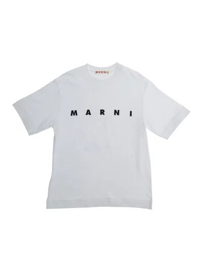 Marni Kids Baby Boy Cotton Crew Neck T-shirt With Front Logo Lettering In Gray