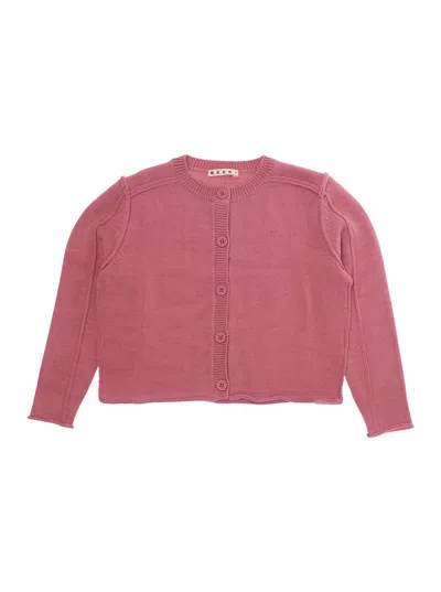 Marni Kids Baby Girl Wool-blend Logo Sweater With Embroidery In Pink