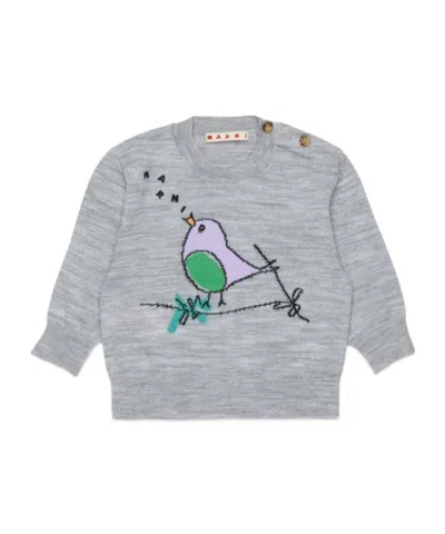 Marni Babies'  Kids Bird Intarsia Crewneck Jumper In White