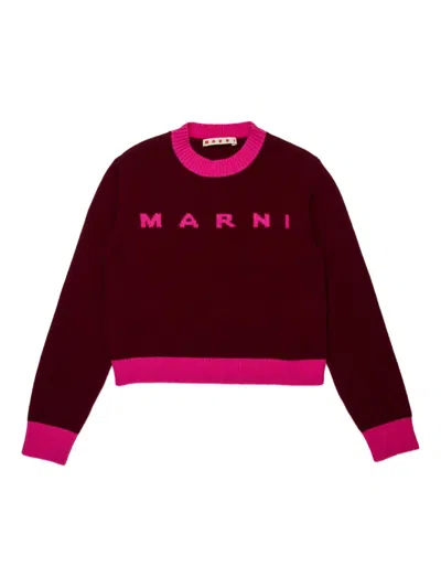 Marni L And Cashmere Sweater With Logo Kids In Brown