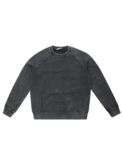Marni Kids Kids Logo Sweatshirt In Gray