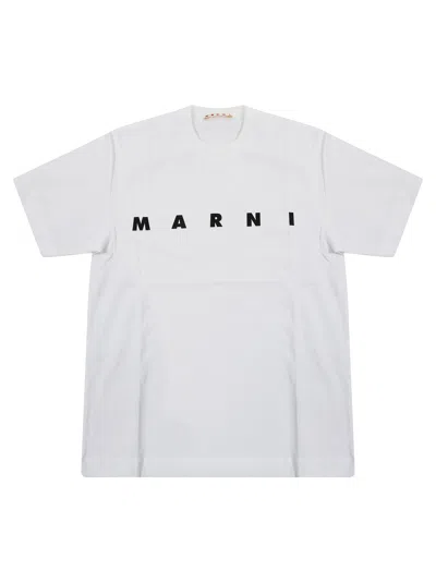 Marni Kids Kids T-shirt Mt135u For Fw26 In Blue