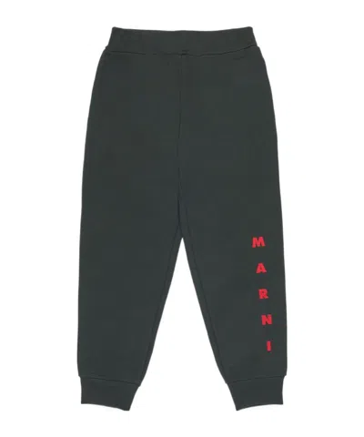 Marni Kids Logo Cuffed Joggers In Gray