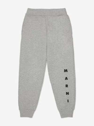 Marni Kids Logo Joggers In Gray