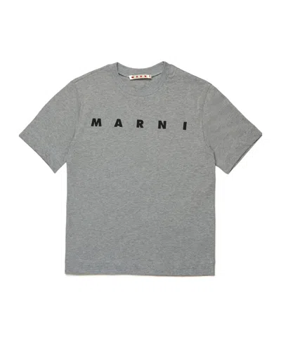 Marni Kids Logo-printed Crewneck T-shirt In Gray