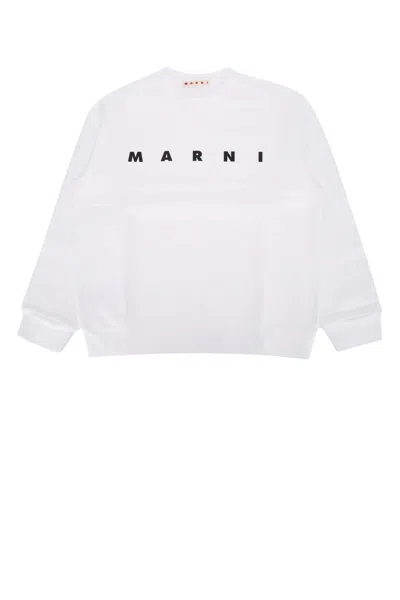 Marni Kids Mini Cotton Knit Sweater In 0m100