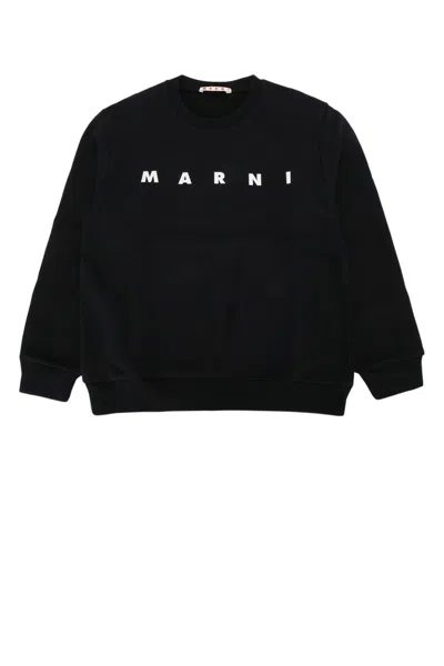 Marni Kids Mini Cotton Knit Sweater In 0m900